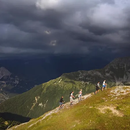 Les Du Bouquetin - Mouflon *