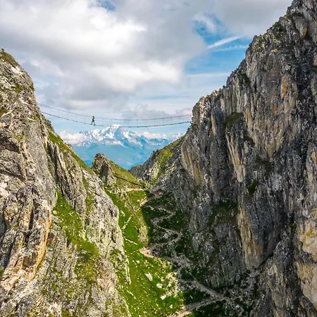 Les Du Bouquetin - Mouflon *