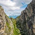 Les Du Bouquetin - Mouflon *