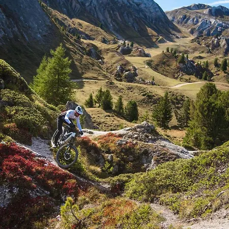 Les Du Bouquetin - Mouflon La Plagne