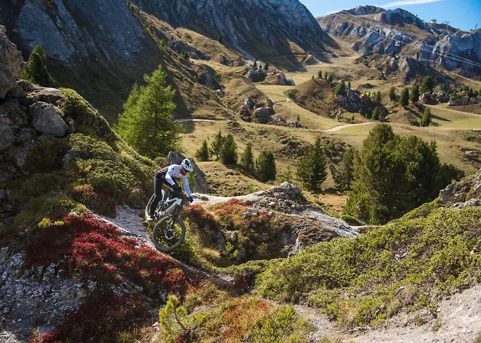 Les Du Bouquetin - Mouflon La Plagne