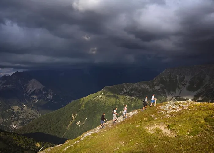 Les Du Bouquetin - Mouflon *