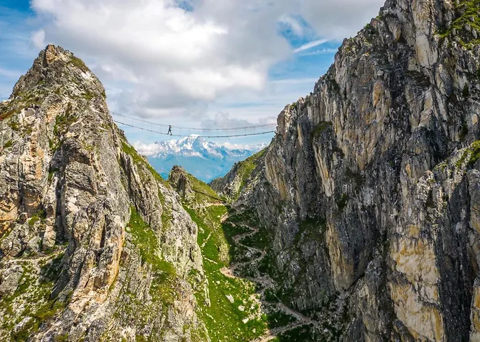 Les Du Bouquetin - Mouflon *