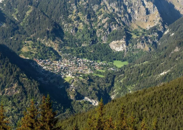 Les Du Bouquetin - Mouflon * La Plagne
